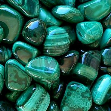 Malachite - Bracelet - (8 mm)